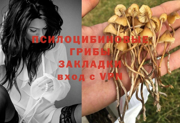 меф Алзамай