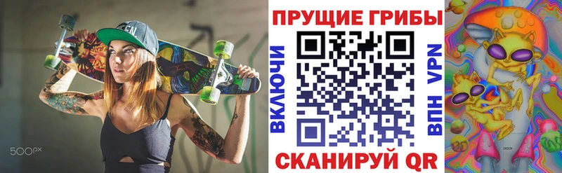 Галлюциногенные грибы мицелий  маркетплейс наркотические препараты  Сочи  наркошоп 